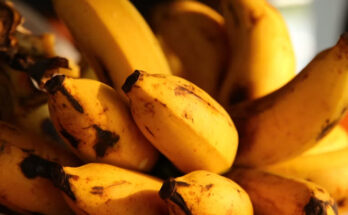 Banane mature
